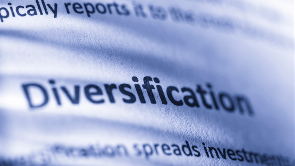 Image of the word 'diversification' written on a black and white page.